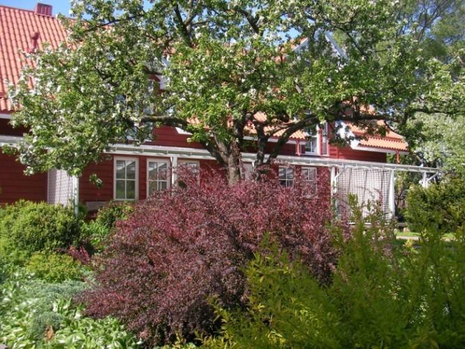 Apartamentai Obelyne Palanga Exterior foto